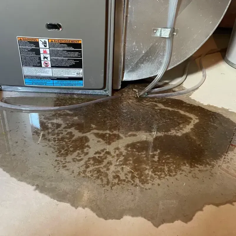 Appliance Leak Cleanup in Sanilac County, MI